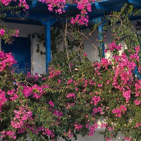 Апартаменты Firoa *