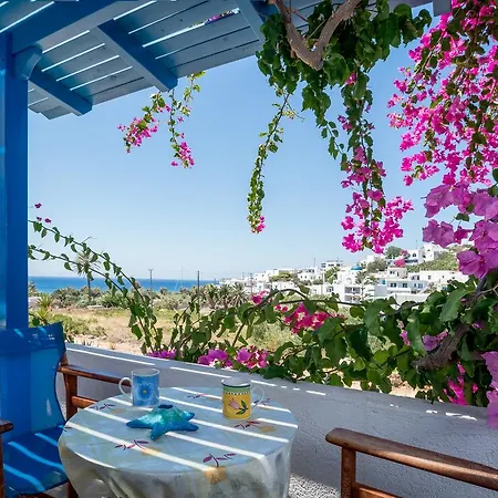 Апартаменты Firoa *